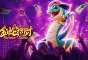 星空全站手机版