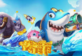 星空全站手机版